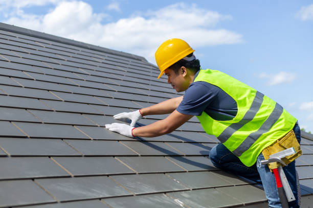 Roof Gutter Cleaning in West Point, VA
